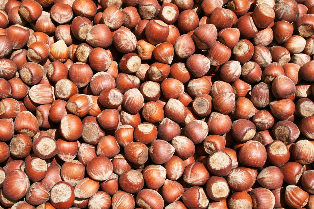 Bulk Ontario Hazelnuts - In-Shell (per kg)